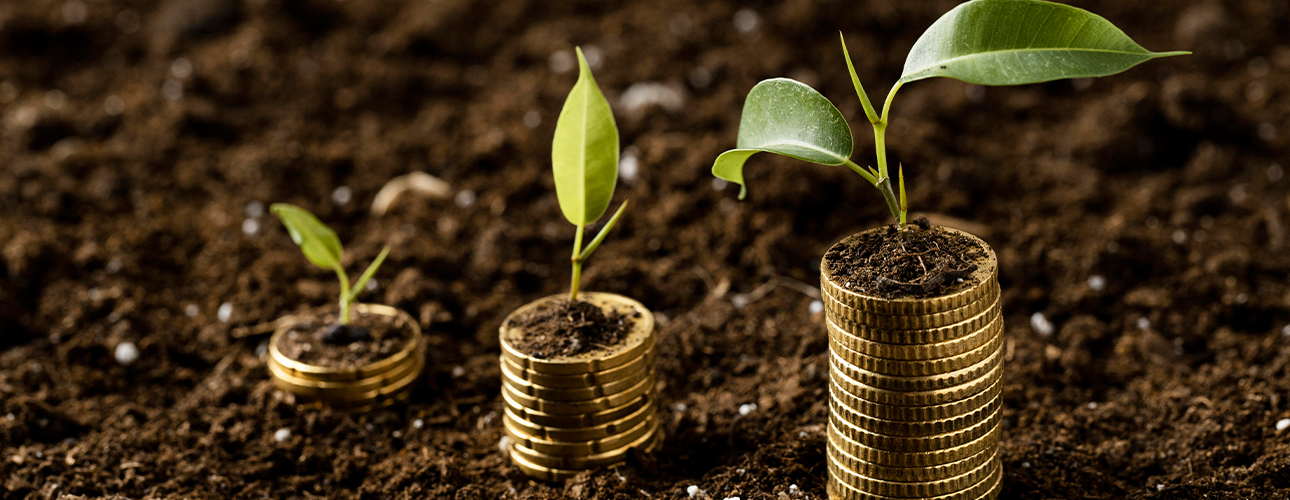 Financiamiento para Emprendedores